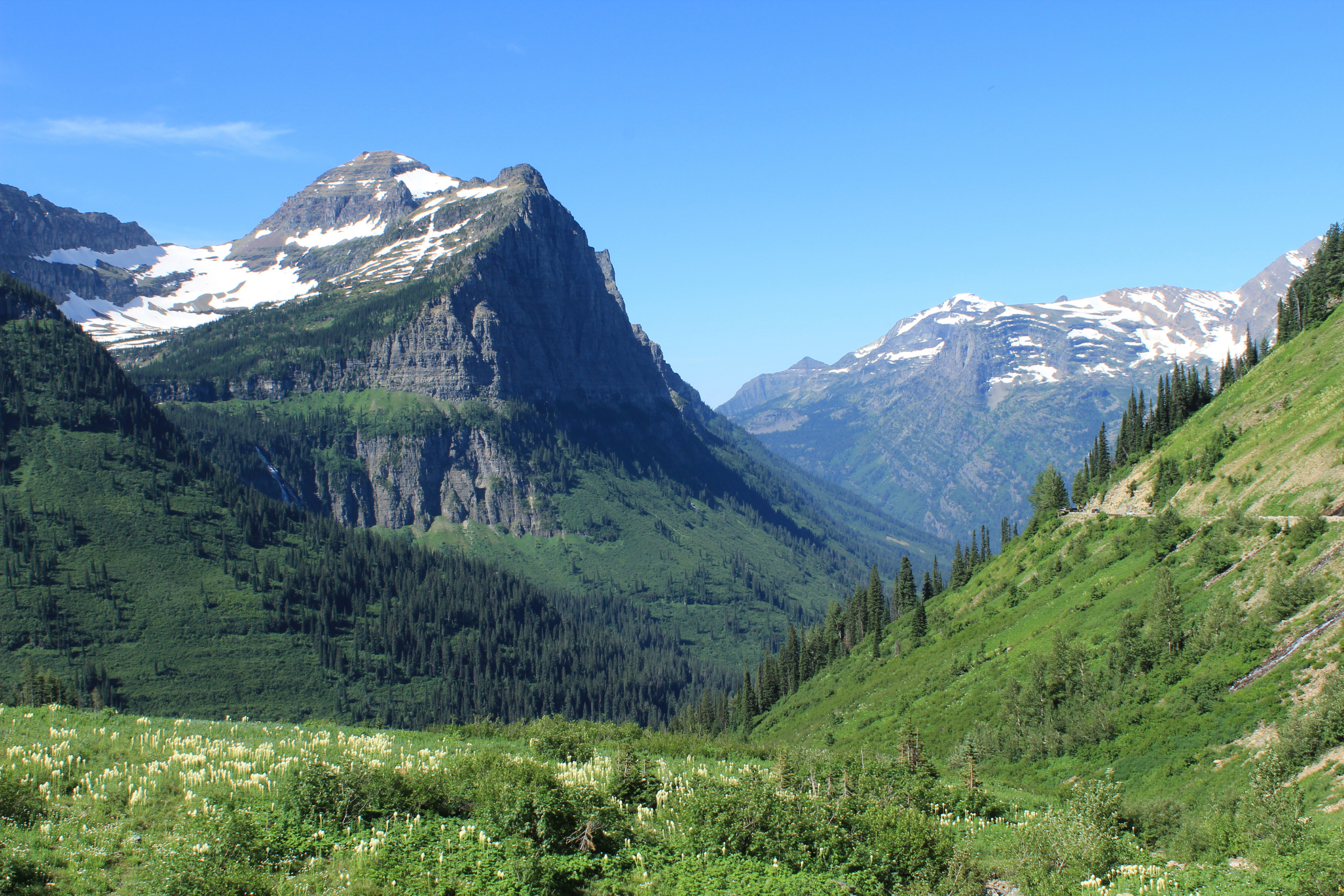 montanas fjord (2).webp